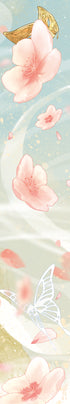 Blessing of the Heavenly Official. Volume 2 (Gift Edition)
