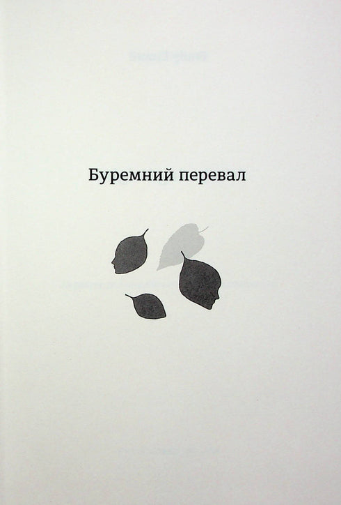 Буремний перевал (закінчився тираж)