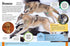 Children's Animal Encyclopedia (out of print)