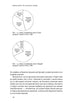 How Brands Grow. What Marketers Don’t Know