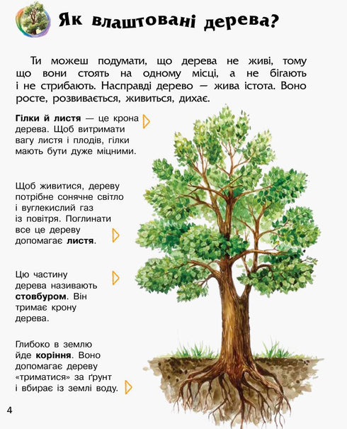 Енциклопедія дошкільника. Ліс