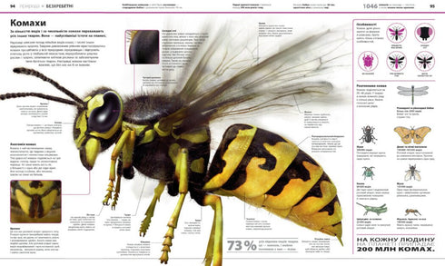 Encyclopedia of Knowledge - 9786170989451