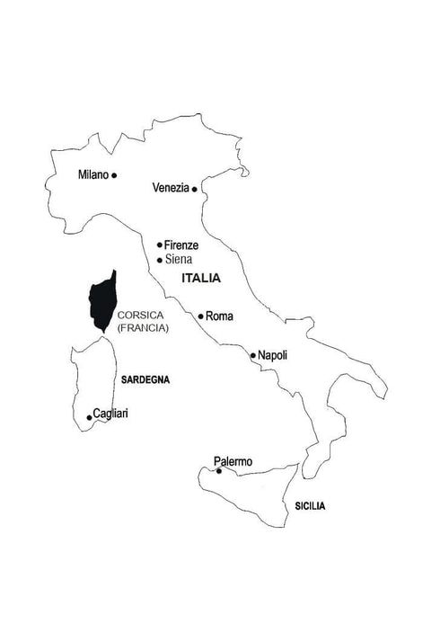 Італійська мова за 4 тижні. Інтенсивний курс італійської мови з електронним аудіододатком