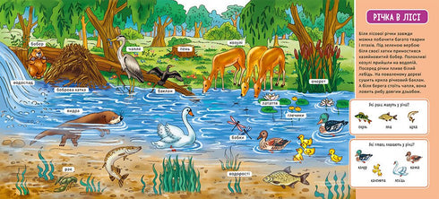 Мій перший словничок. У лісі