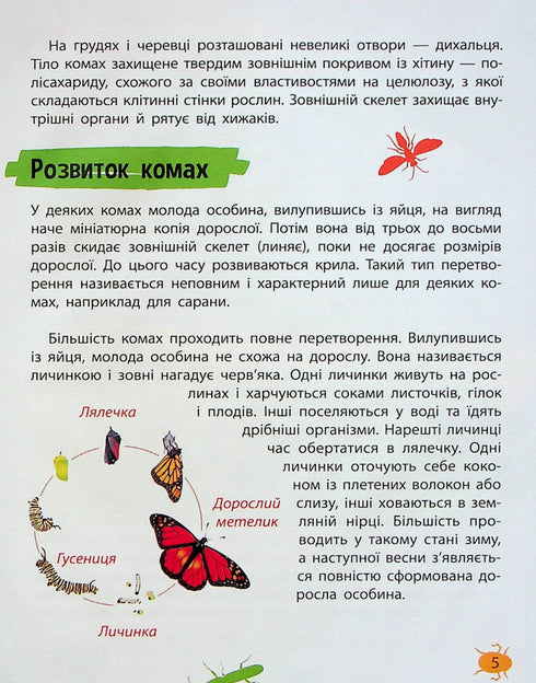 Мініенциклопедія. Комахи та павуки