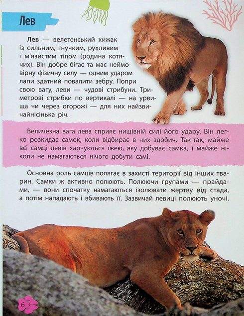 Mini encyclopedia. Animal world