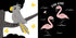 My contrast book. Animals