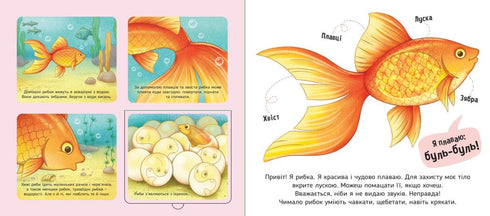 My favorites - 9789667511920