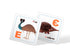 Smart cards. Living alphabet. 30 cards - 9786175475706