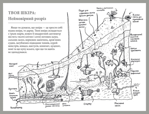 What is this organ? A silly guide to the anatomy of your body.