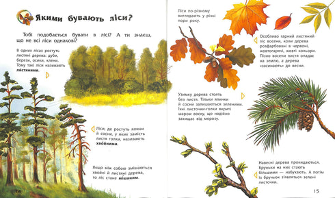 Енциклопедія дошкільника (збірник)