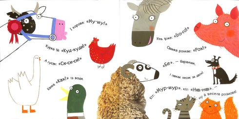 What did the sun hear?