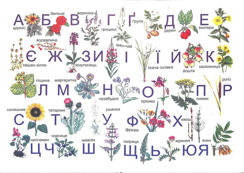 Alphabet. Textbook for 1st grade