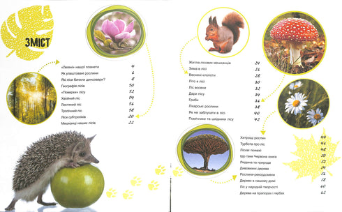 Світ і його таємниці : Життя лісу