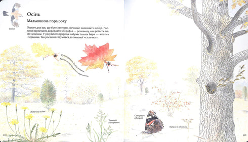 Expedition with Ant Sophie. Exploring the nature around us.