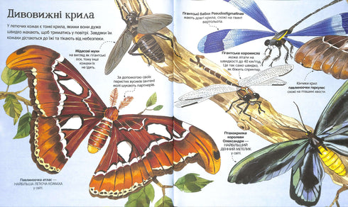 The Great Book of Insects and More