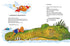 Dino-friends. Swimming competition