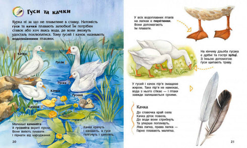 Encyclopedia of Preschoolers. Domestic Animals