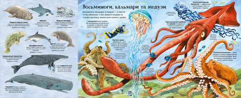 The Great Book of Marine Residents