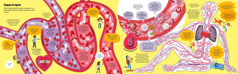 The Big Book About the Body