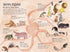 The Big Book of Animals (print run ended)